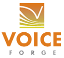 VoiceForge - TTS in Your Web Applications On Demand