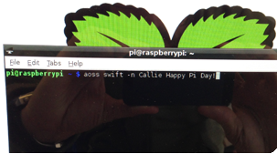 Swift returns sucesfully on the command line